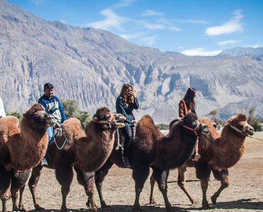 Day 08: Nubra – Leh