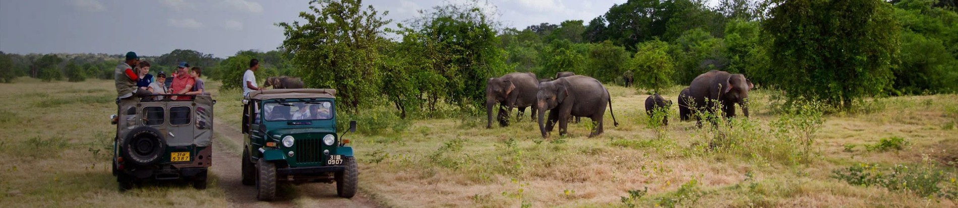 Best Of Sri Lanka